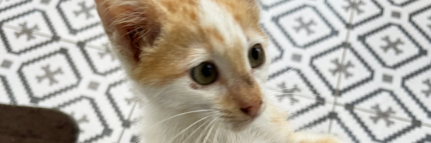 ruthsekarr's profile banner image