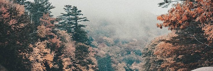 BiliAgustinus's profile banner image