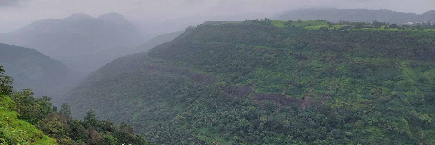 MeghaPoojari's profile banner image