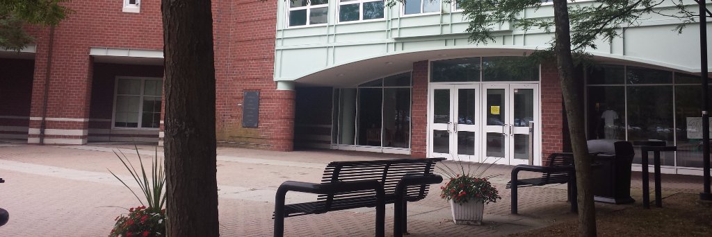 Michele Carlson banner