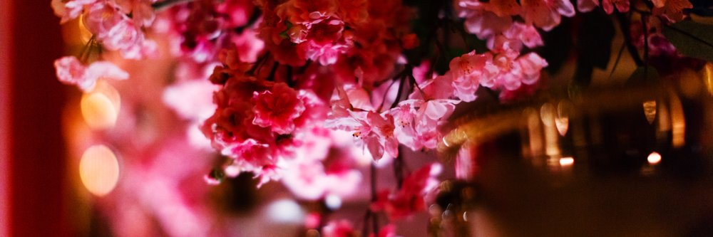 Park Chinois banner