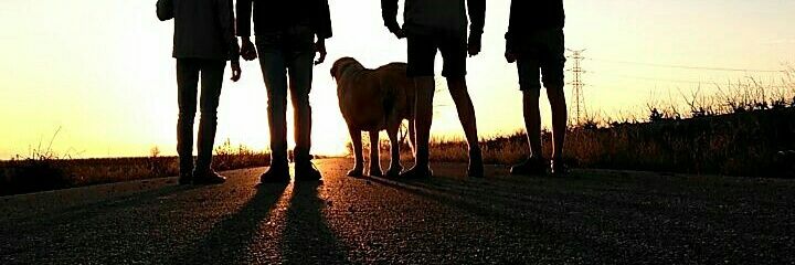 Desese11's profile banner image
