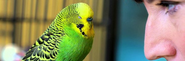 MarkRingo12 Profile Banner