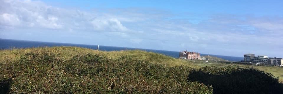 Abigail Bridges banner