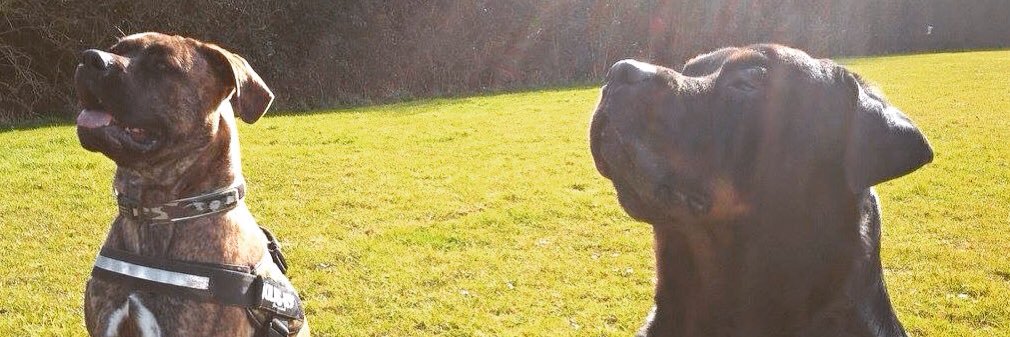 ClareButler11's profile banner image