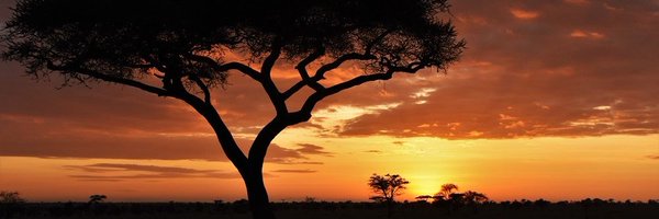 KaylaGriffithMD Profile Banner