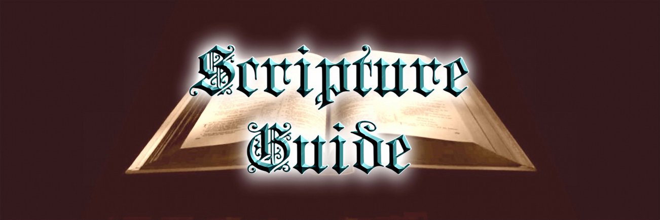HOLY BIBLE banner