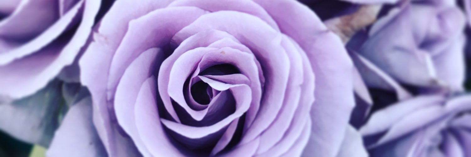 charlotteskn's profile banner image