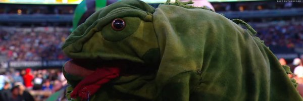 MrIguana Profile Banner