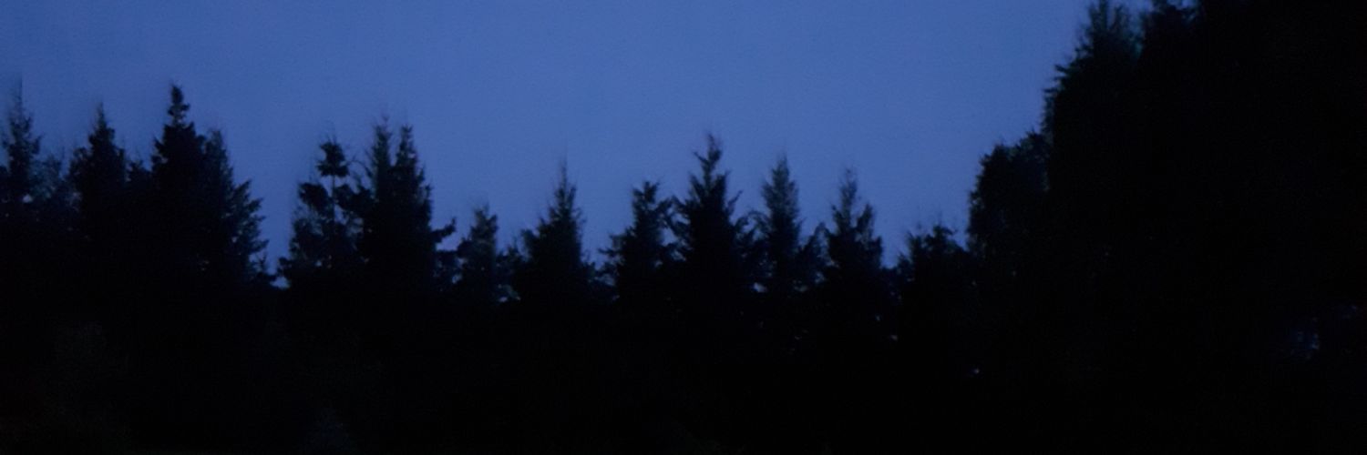 Valancy_'s profile banner image