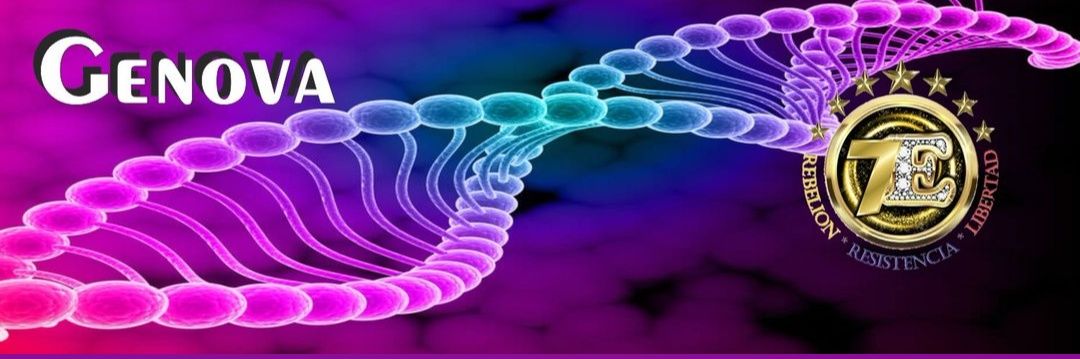 Genova!® banner