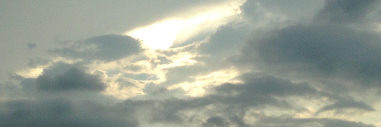 Braden Culpert banner