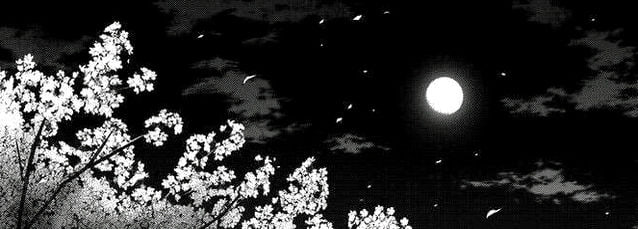 LouBicket's profile banner image