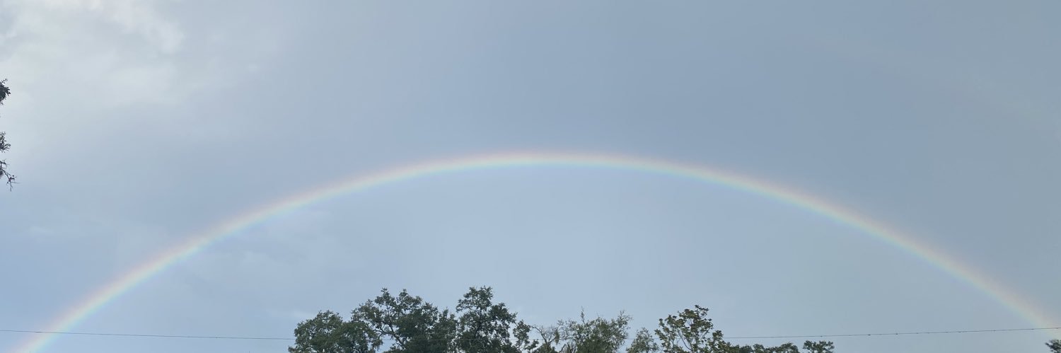 Jen H 💙💛 banner