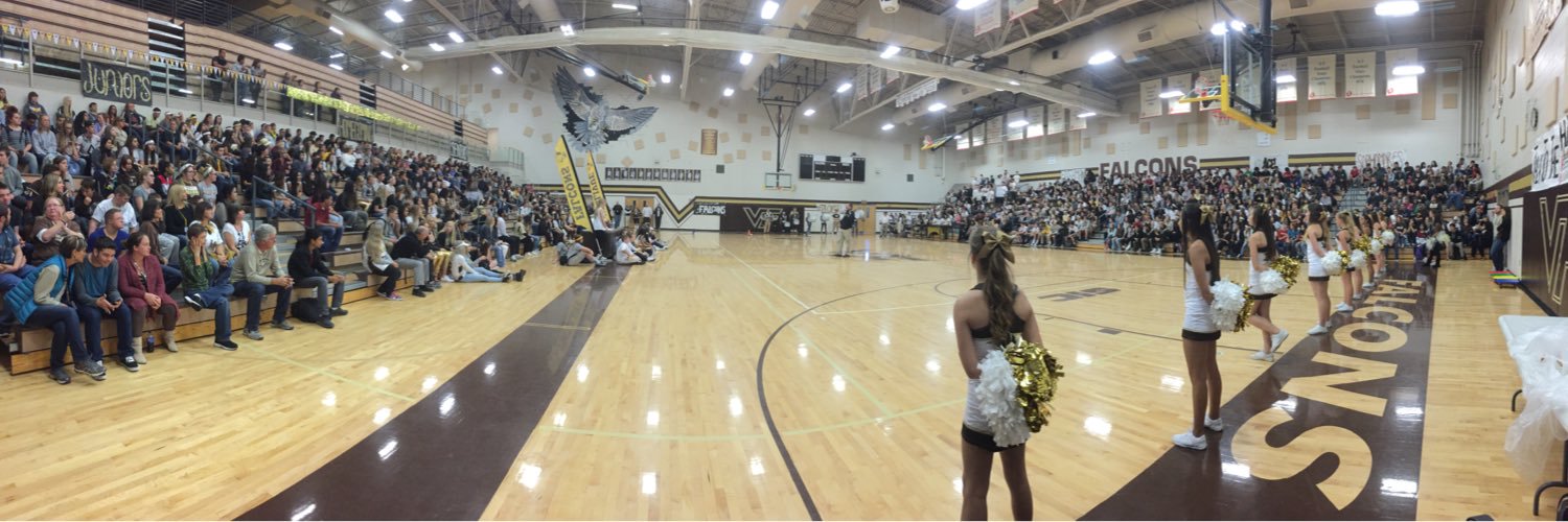 Falcon FANatics banner