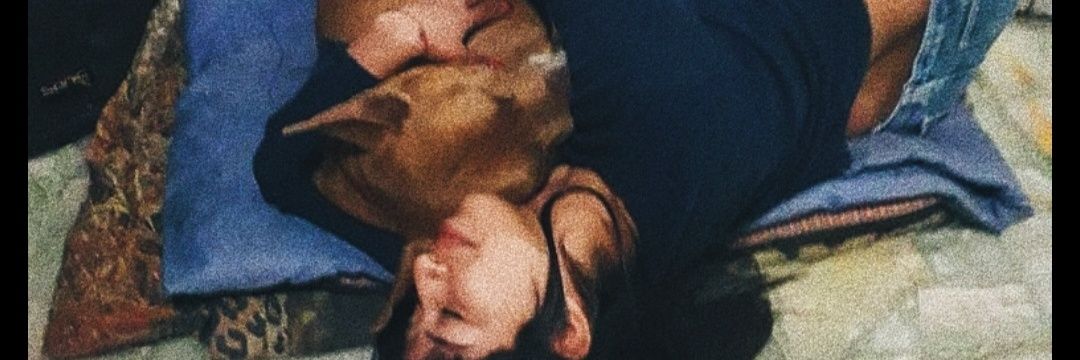 negggra's profile banner image