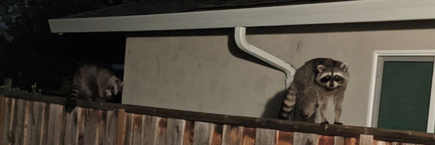 PattonPray's profile banner image