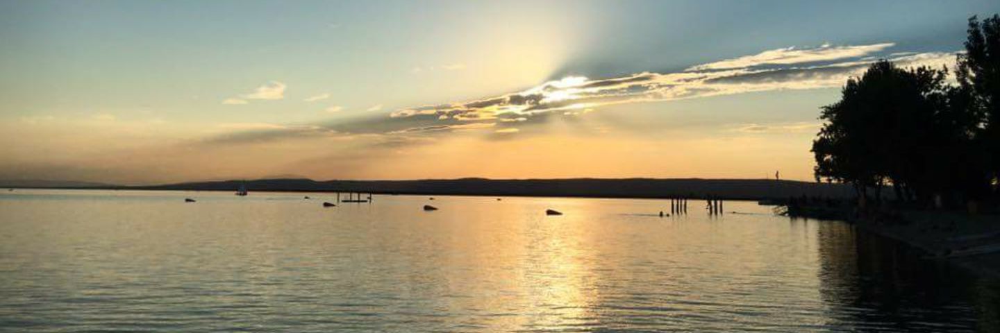 Anna M. Burton banner