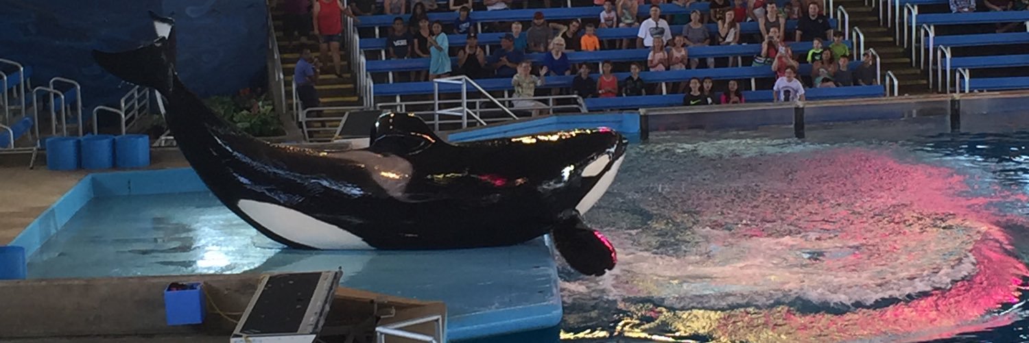 Barbara Forquer banner