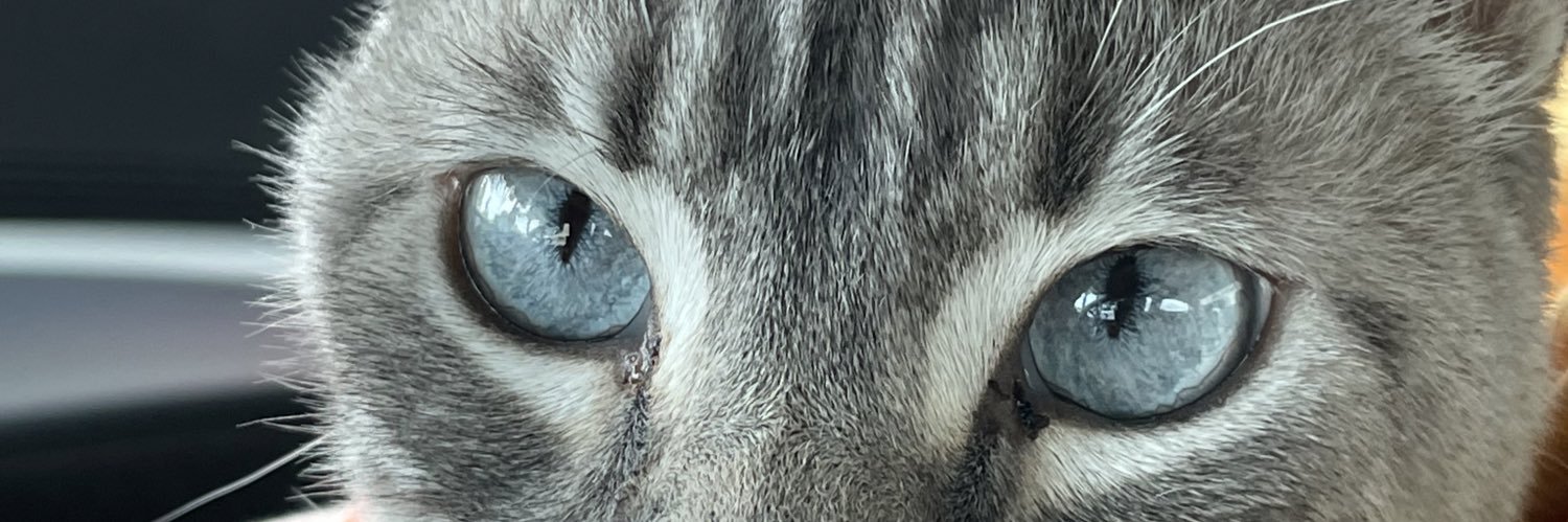 GeoMartinez96's profile banner image