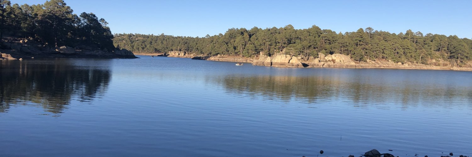 Carlos A Gonzalez banner