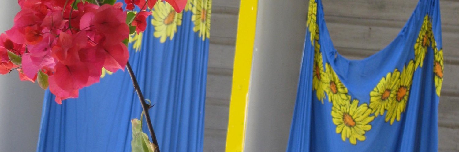 paradisbleu's profile banner image