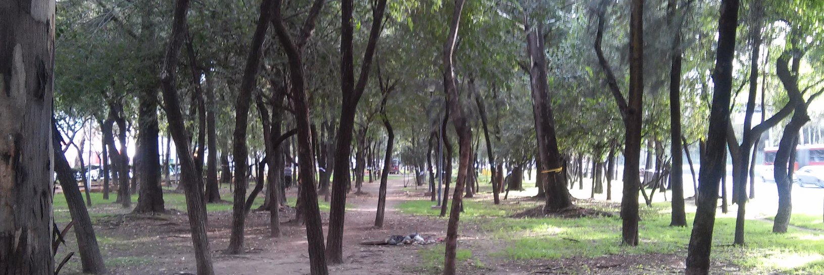 AlertaPotrero banner