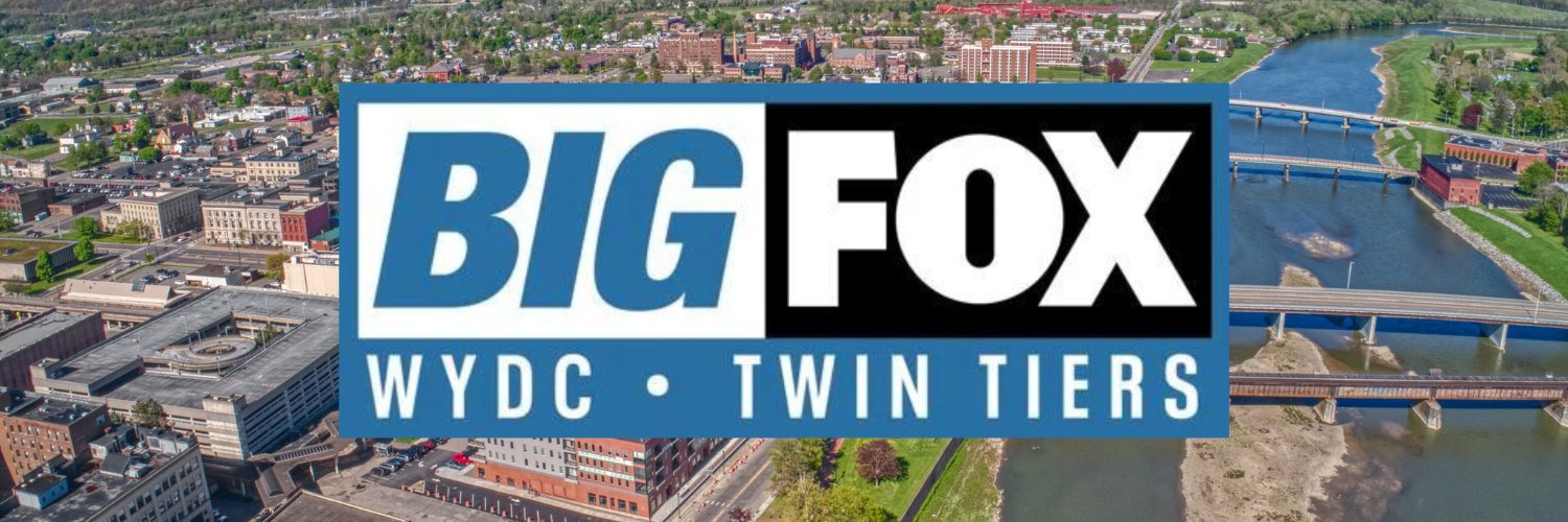 Big Fox banner