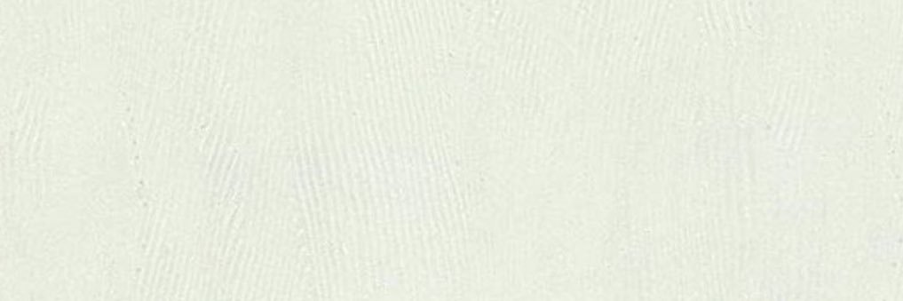 1419NE's profile banner image