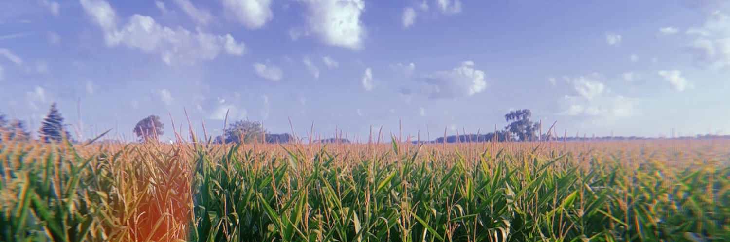 AlyssaDecker10's profile banner image