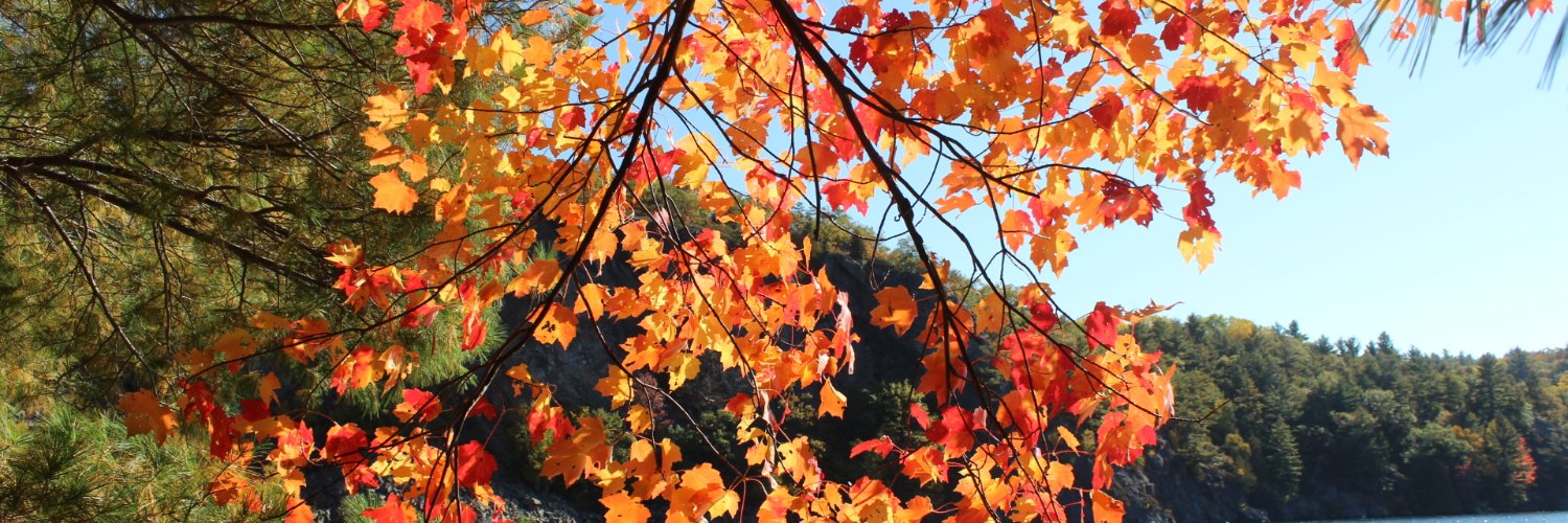jckenny1's profile banner image