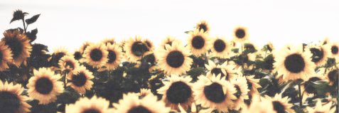 lposten16's profile banner image
