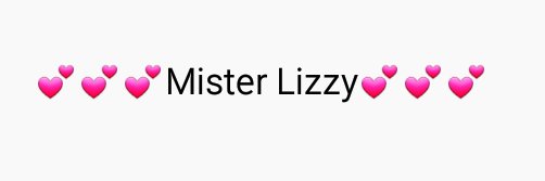 LizzyCaplan_'s profile banner image