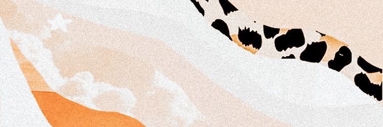 claire__spitz's profile banner image