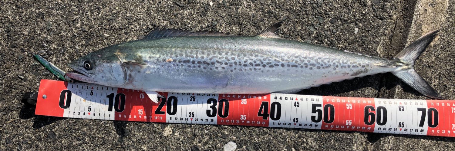 なにわの釣り吉三平 banner