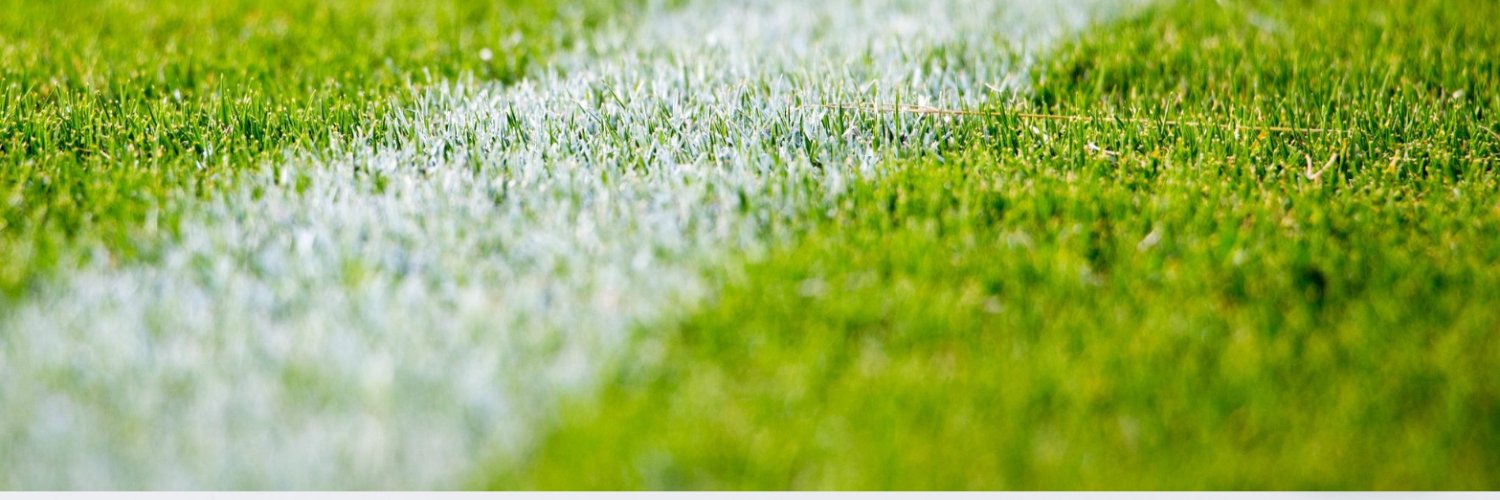 frankschaffner's profile banner image