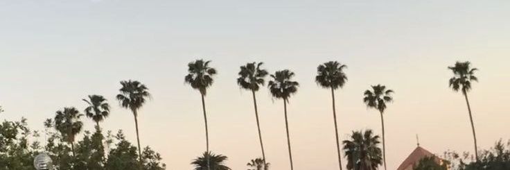 - 018 banner