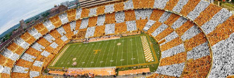 🍊Orange Mamba🐍 banner