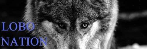 LMS Athletic Booster Club banner