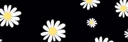 putrivaleria's profile banner image