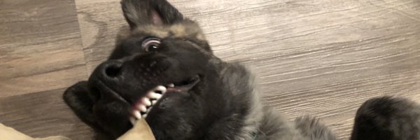 ArrowoodTech Profile Banner