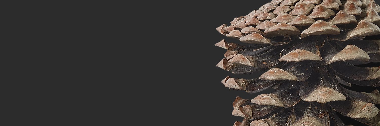 muhemzen's profile banner image