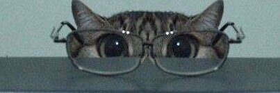 yagurlbucci's profile banner image