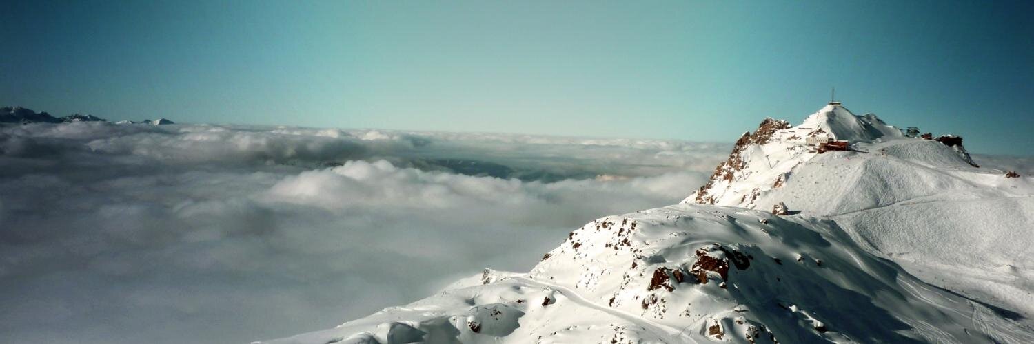SnowFoxx98's profile banner image