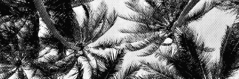 ianferrell's profile banner image