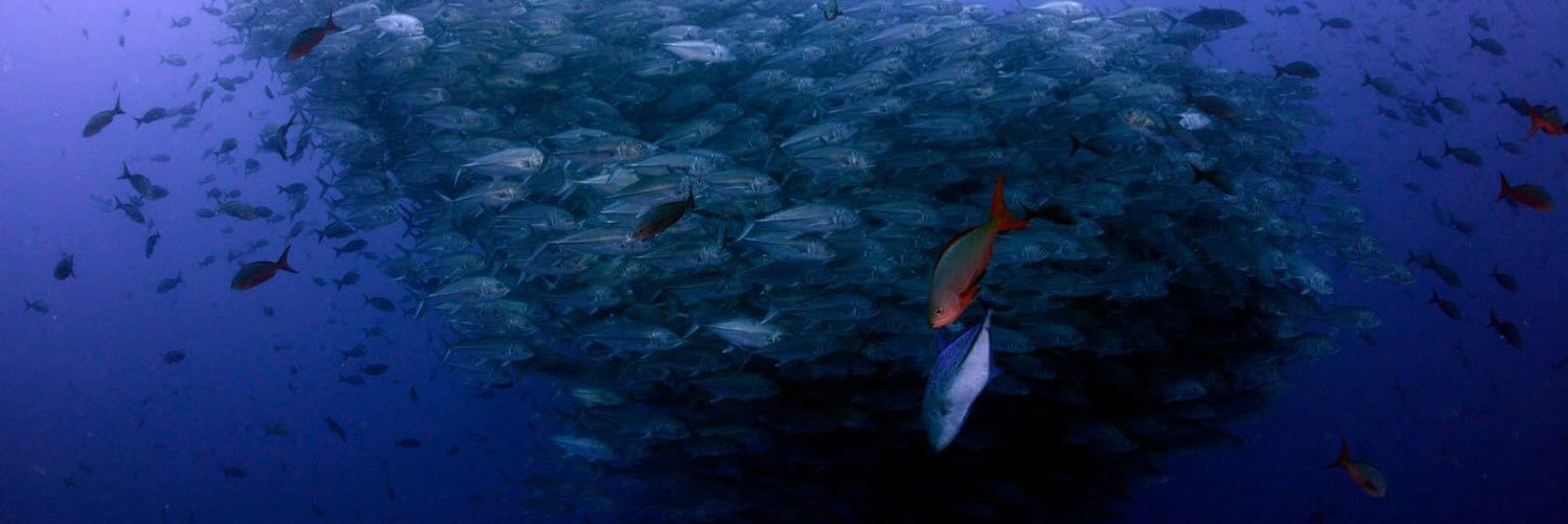 Mylene NETANGE banner