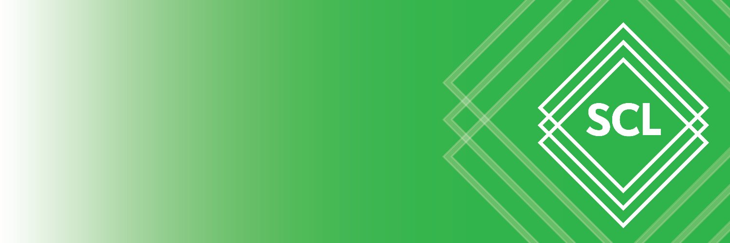 Synergos Consultancy banner