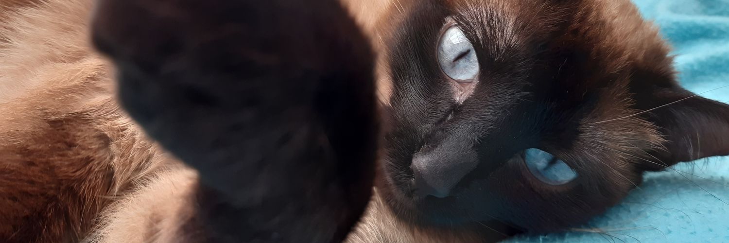 Ramateux's profile banner image