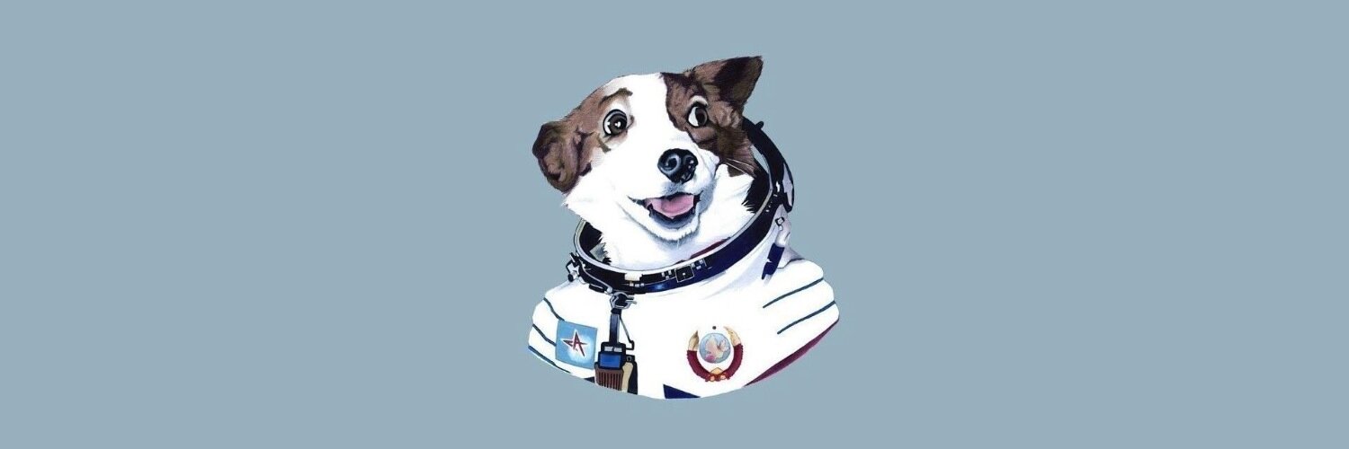 Cadoc's profile banner image