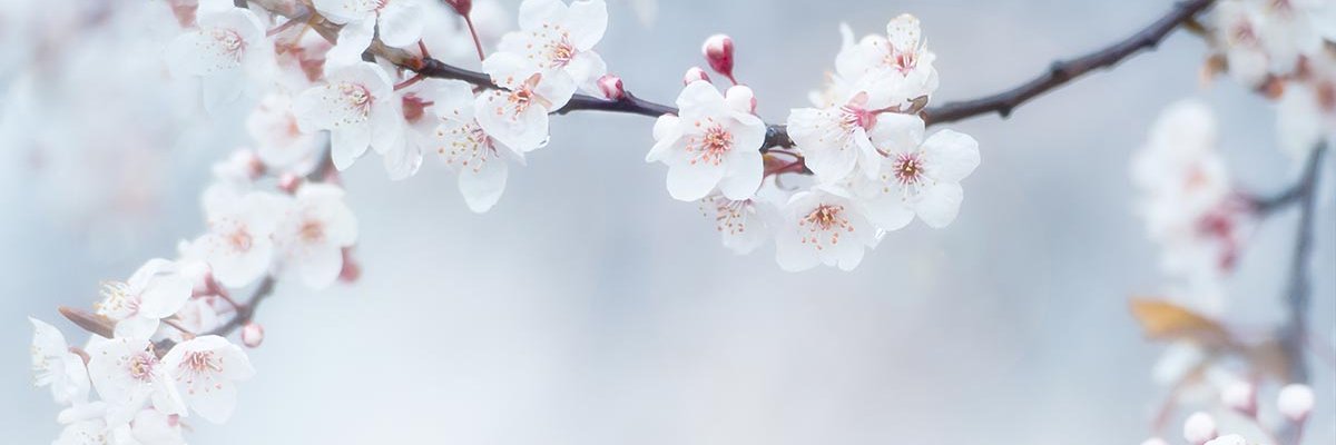Houweling_CE's profile banner image